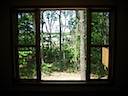 View to the Outside